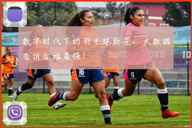 数字时代下的羽毛球新星,大数据告诉你谁最强!