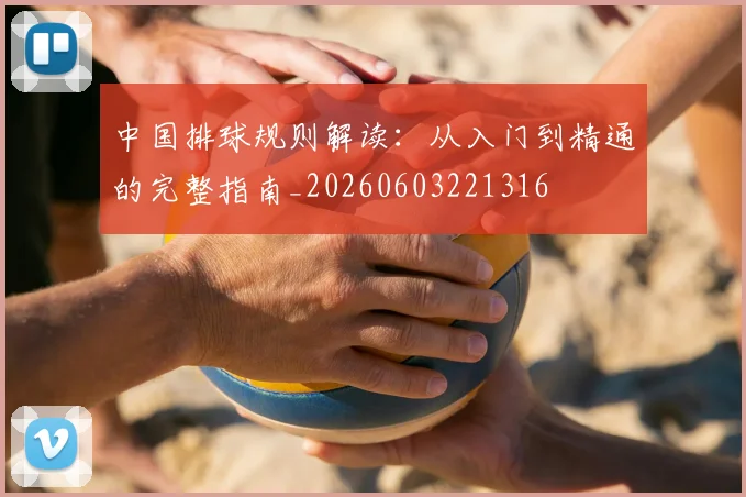 中国排球规则解读:从入门到精通的完整指南_20260603221316