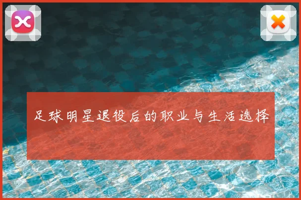 足球明星退役后的职业与生活选择